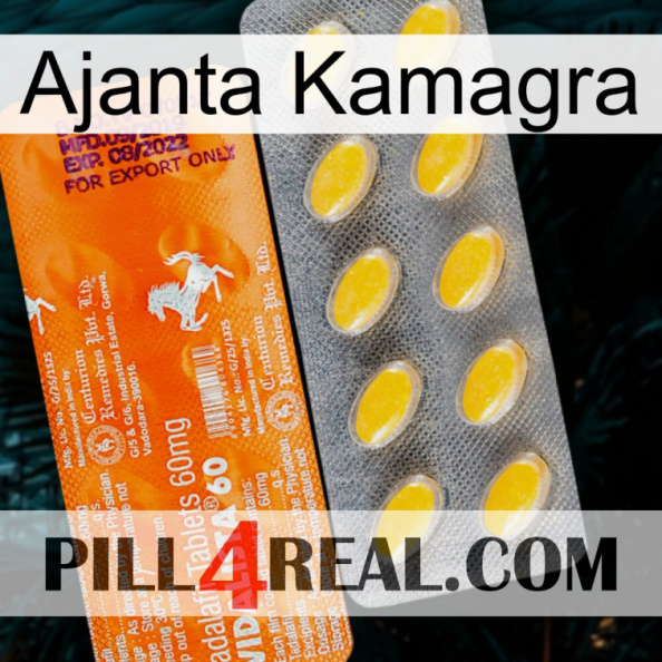 Ajanta Kamagra new05.jpg